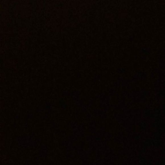 carlobiagini39